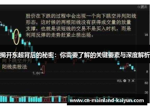 揭开东超背后的秘密：你需要了解的关键要素与深度解析