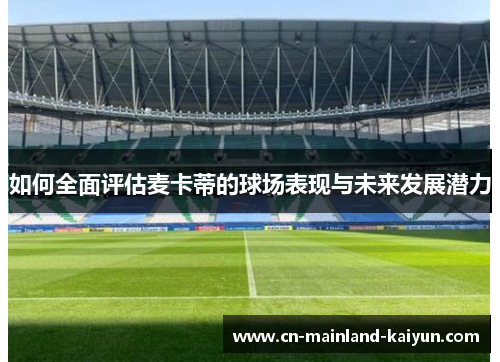 如何全面评估麦卡蒂的球场表现与未来发展潜力