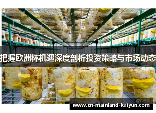 把握欧洲杯机遇深度剖析投资策略与市场动态